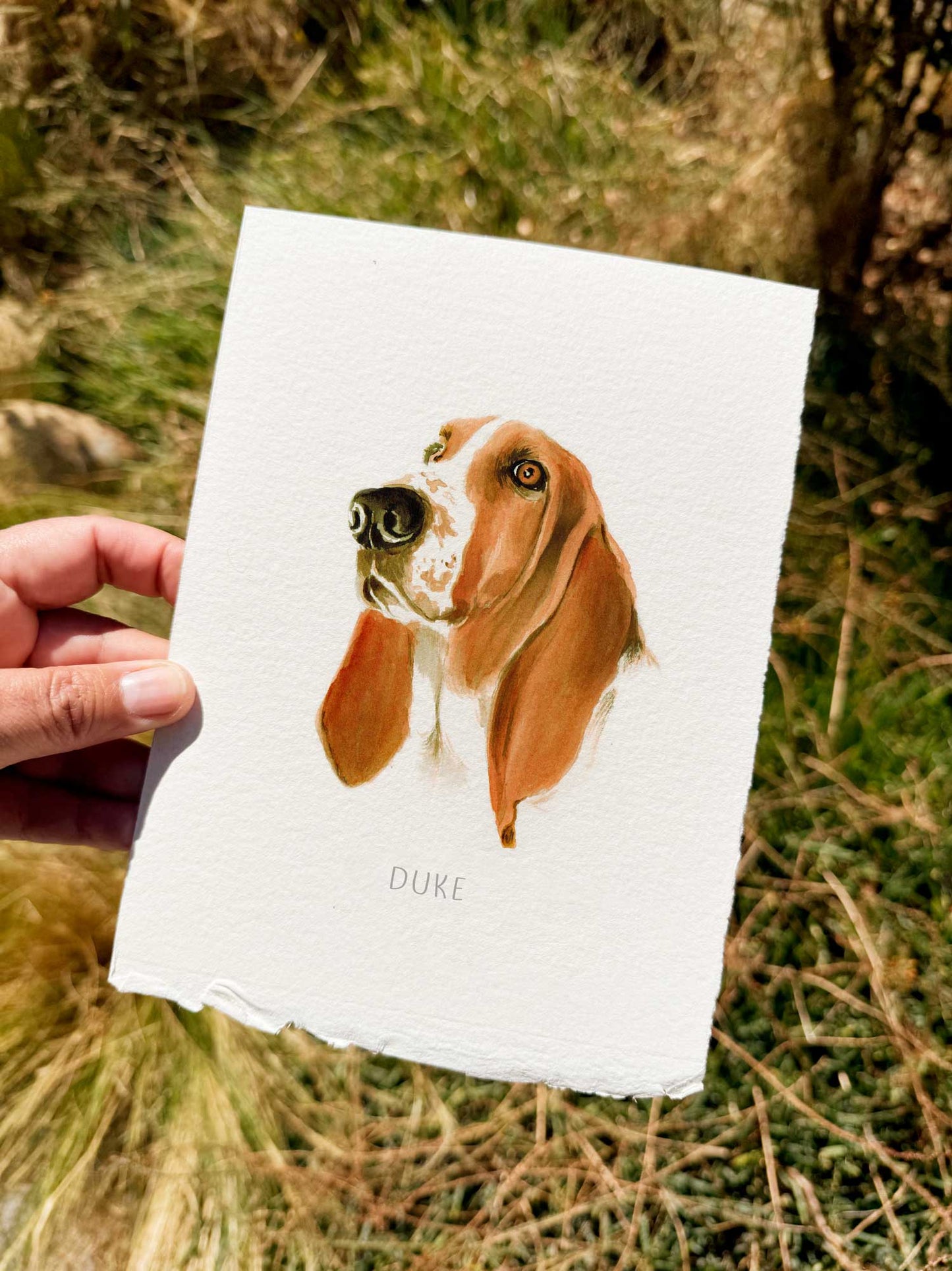 Mini Retrato mascota 15 x 20