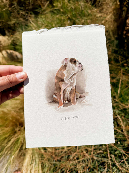 Mini Retrato mascota 15 x 20