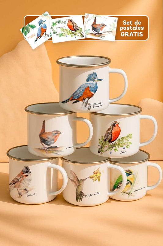 Pack Colección enlozados de Aves Chilenas + SET POSTALES GRATIS