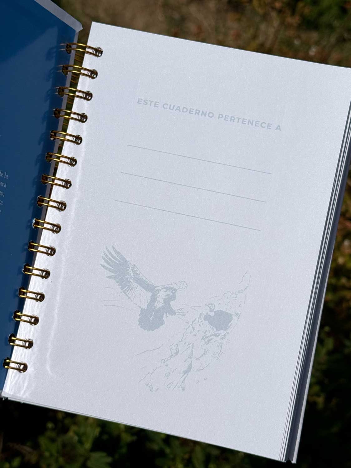 Cuaderno Carpinterito