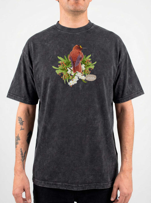 Polera Picaflor macho de Juan Fernández