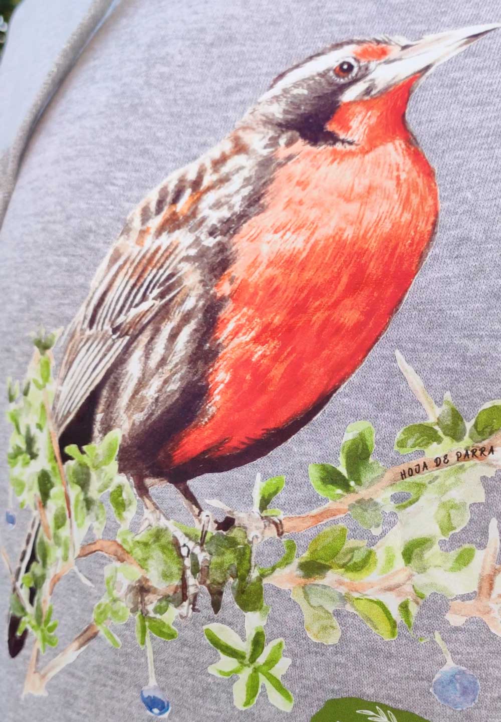 Polerón ilustrado Loica (Leistes loyca)