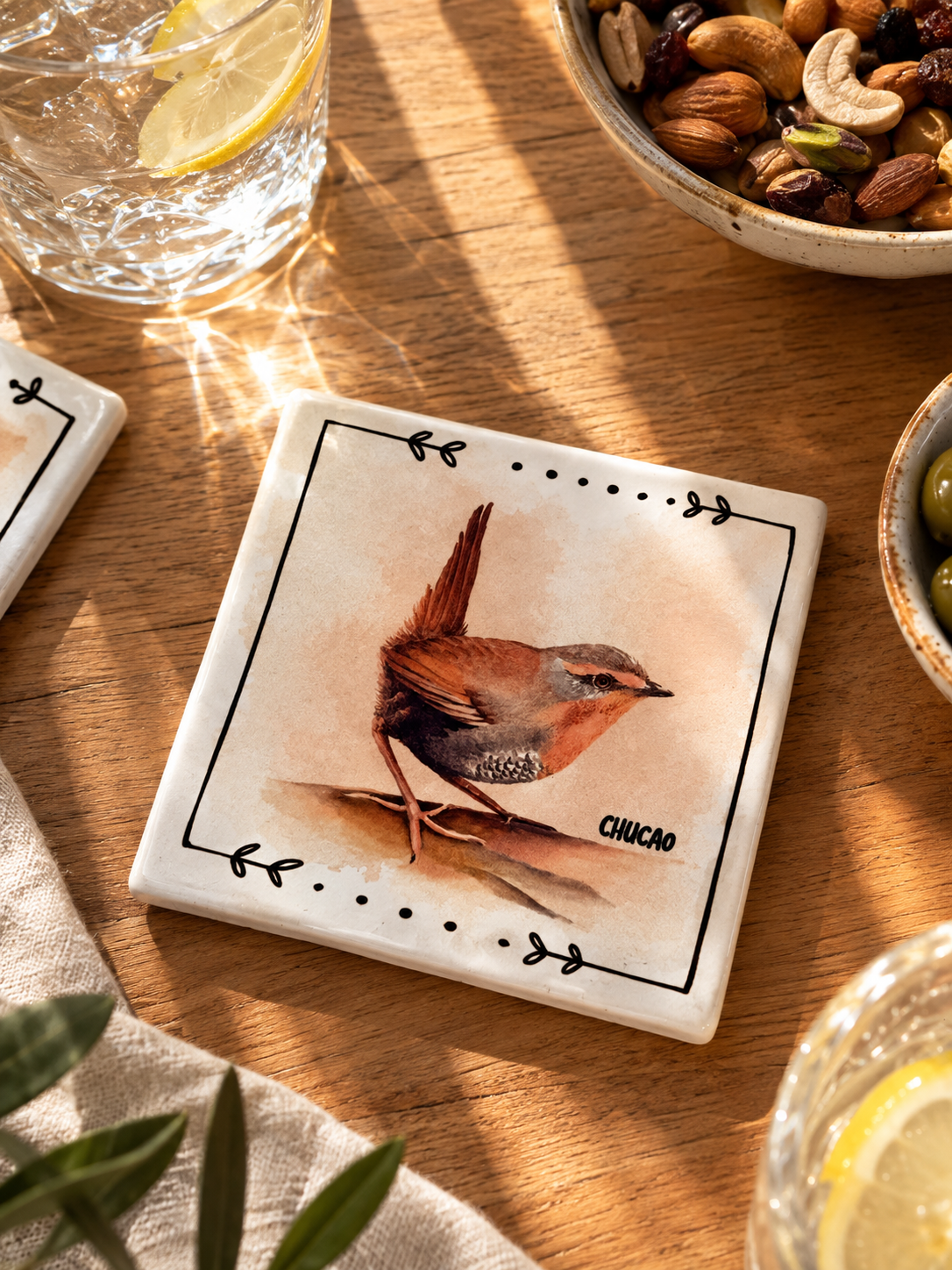 Set 4 Posavasos Aves de Chile