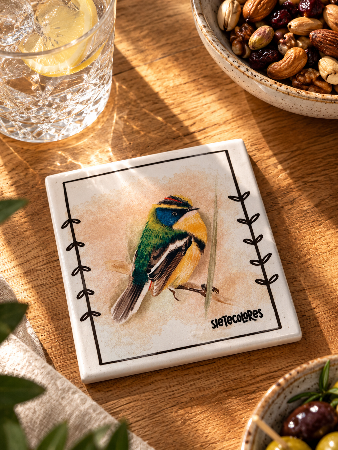 Set 4 Posavasos Aves de Chile