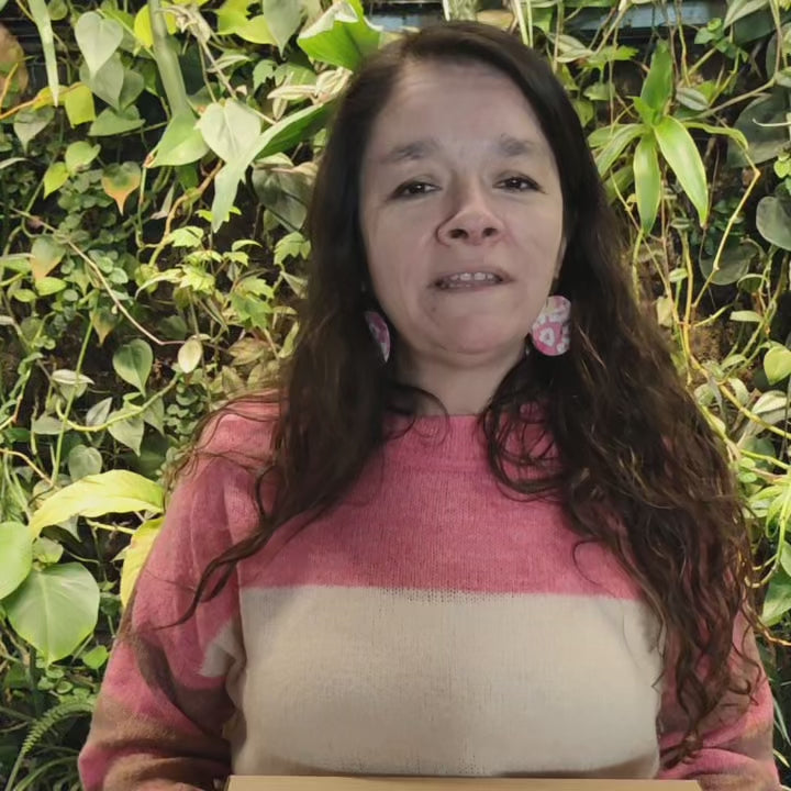 Cargar video: 