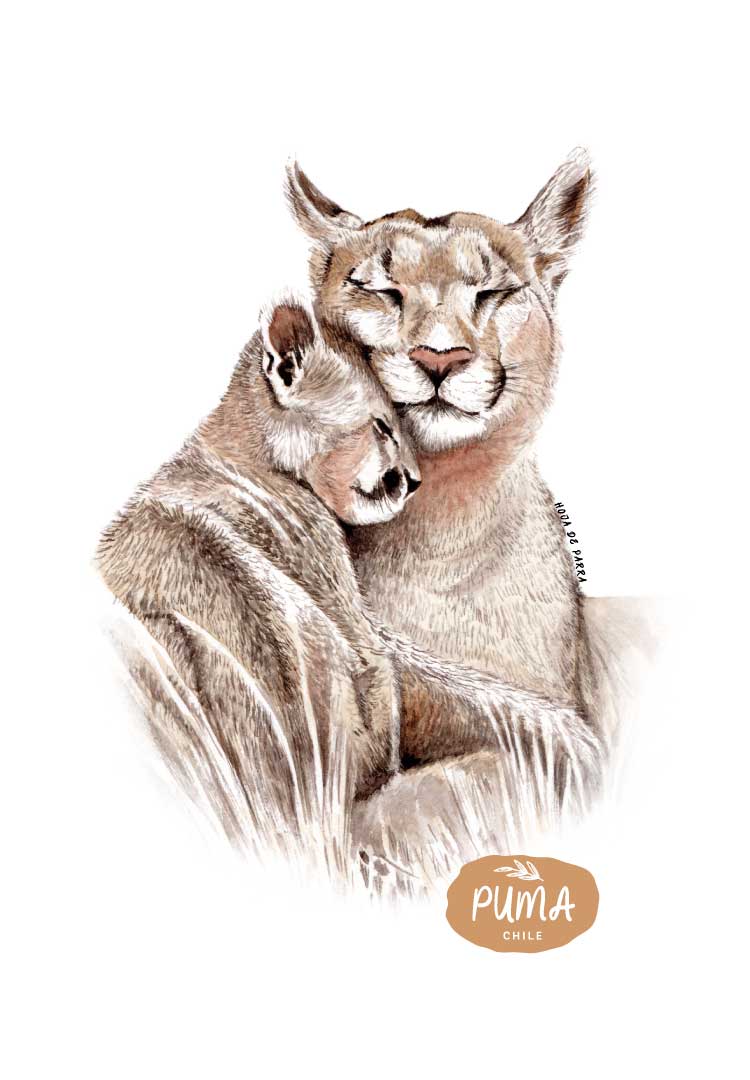 Polera ilustrada Puma (Puma concolor)
