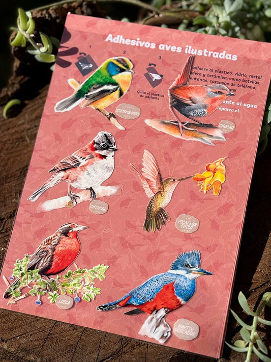 Set de stickers aves de Chile
