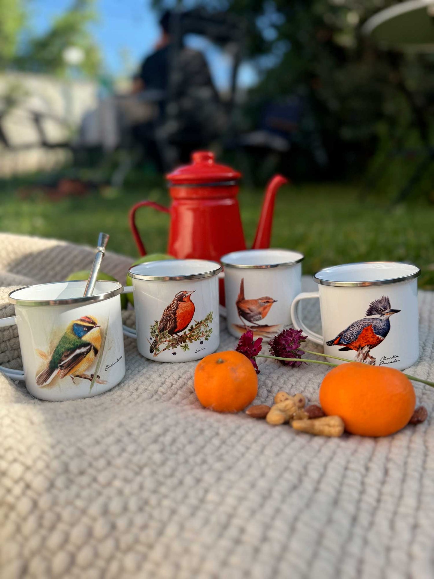 Pack 4 tazones enlozados aves chilenas + ENVÍO GRATIS