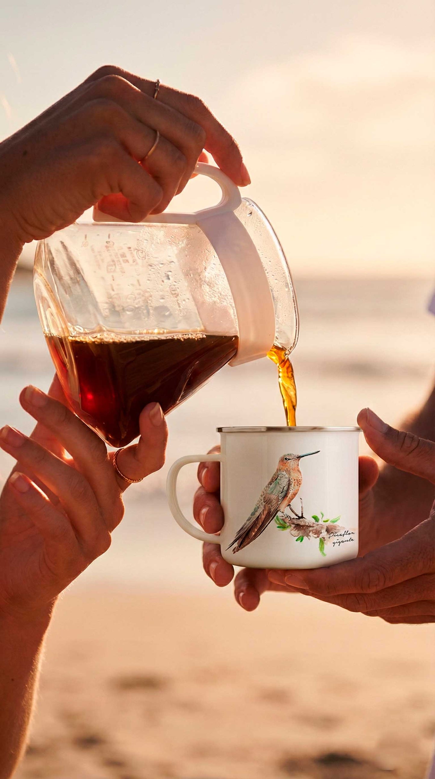 Tazón enlozado Picaflor gigante