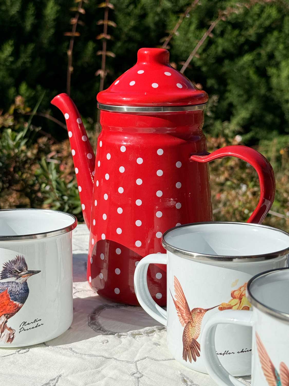 Set de Té Enlozado: Tetera puntos + 4 Tazones