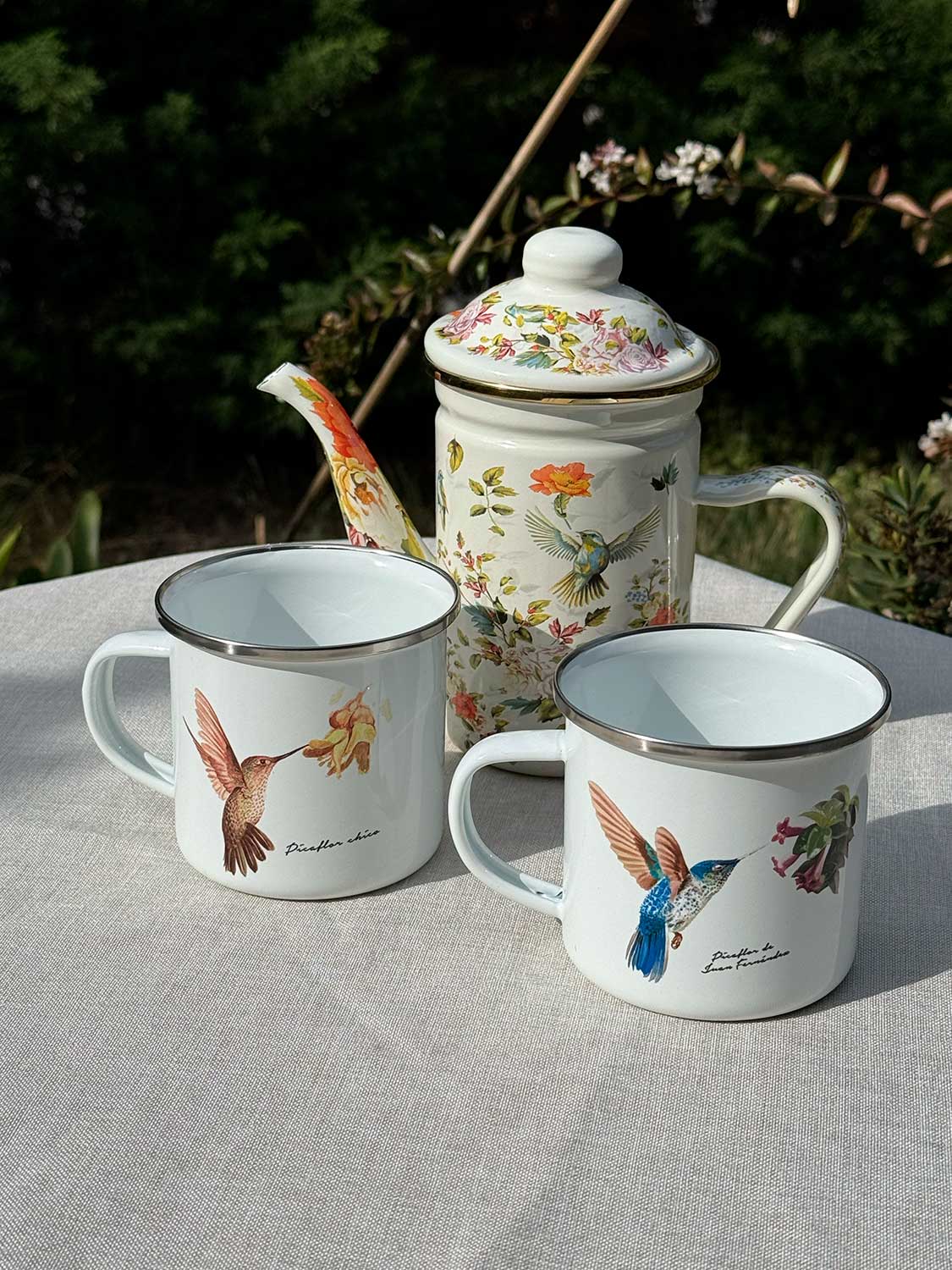 Set de Té Enlozado: Tetera con filtro picaflor + 2 Tazones
